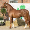 Wheemhoeve's Gamekeeper