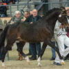 Leuns Veld's Lord