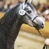 EYARTH SIMEON