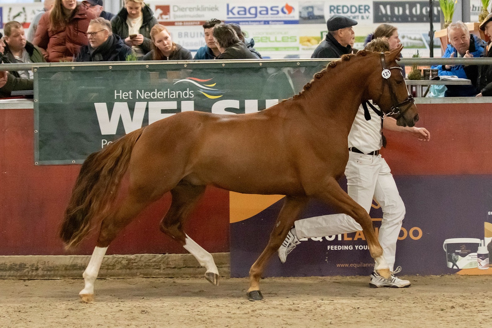 Botic van den Hout