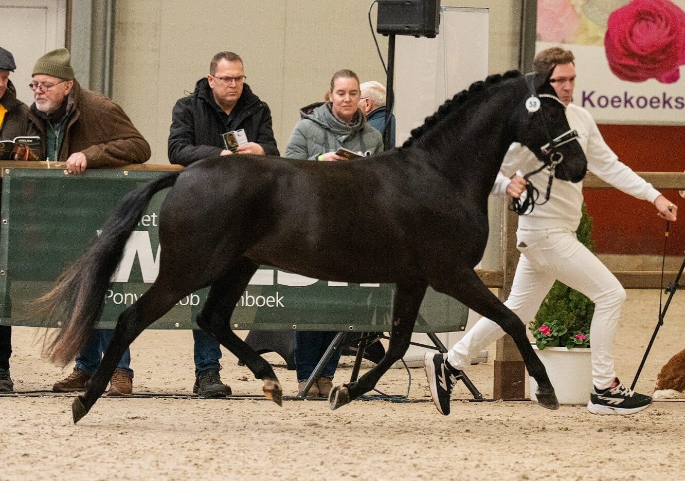 Arkelshof Black Edition