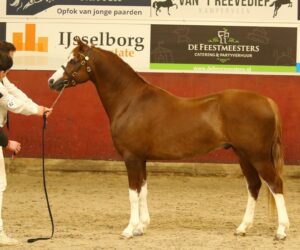 Margriet Hoeve's Nalwin