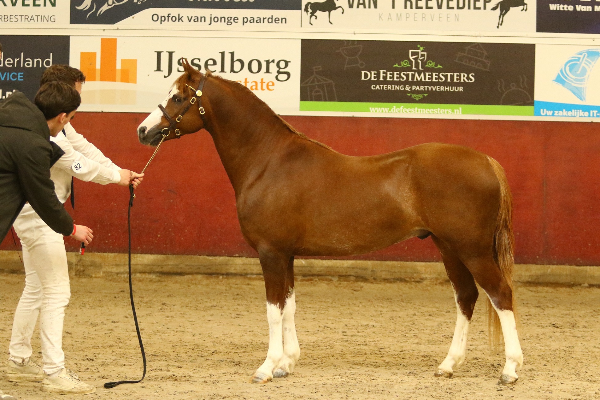 Margriet Hoeve's Nalwin